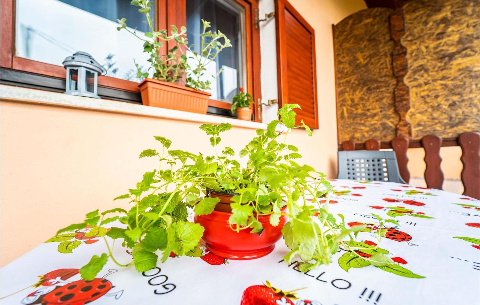 Amazing Apartment In Krnica With Kitchen Luaran gambar